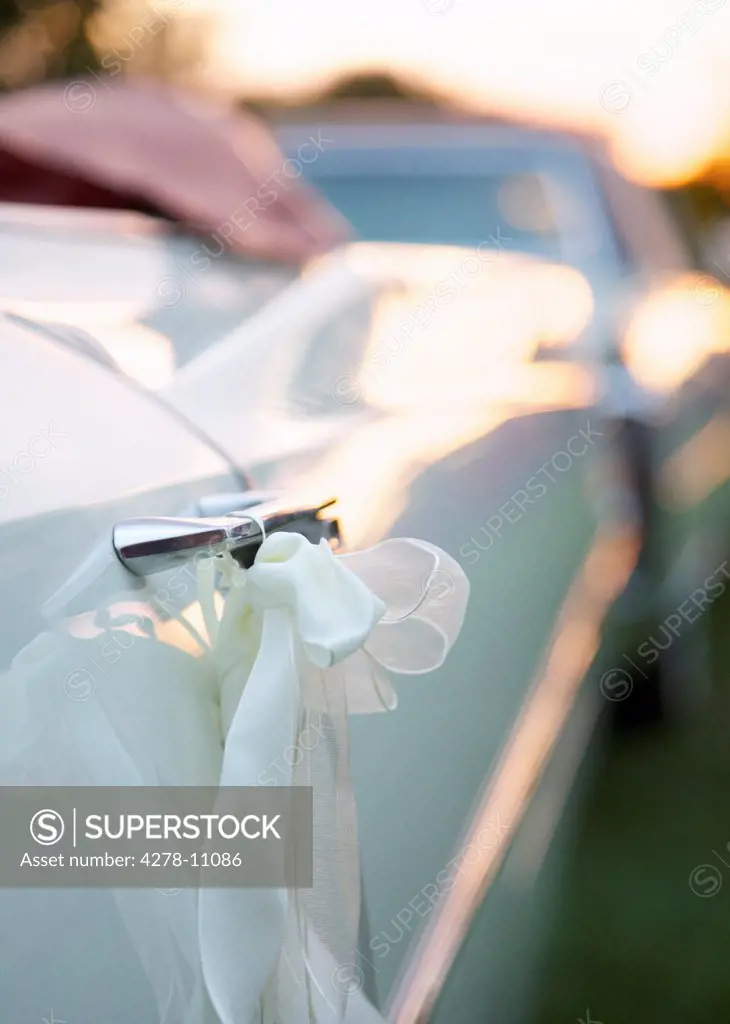 White Ribbon Bow Hanging from Car Handle