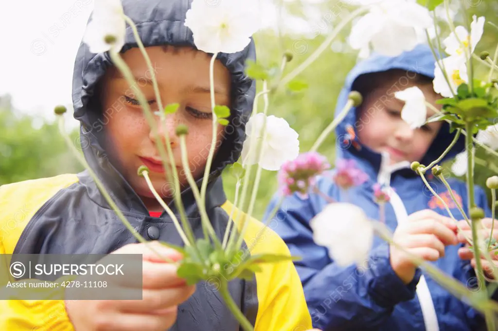 Two Boys Wearing Hooded Raincoats Examining Flower Plant