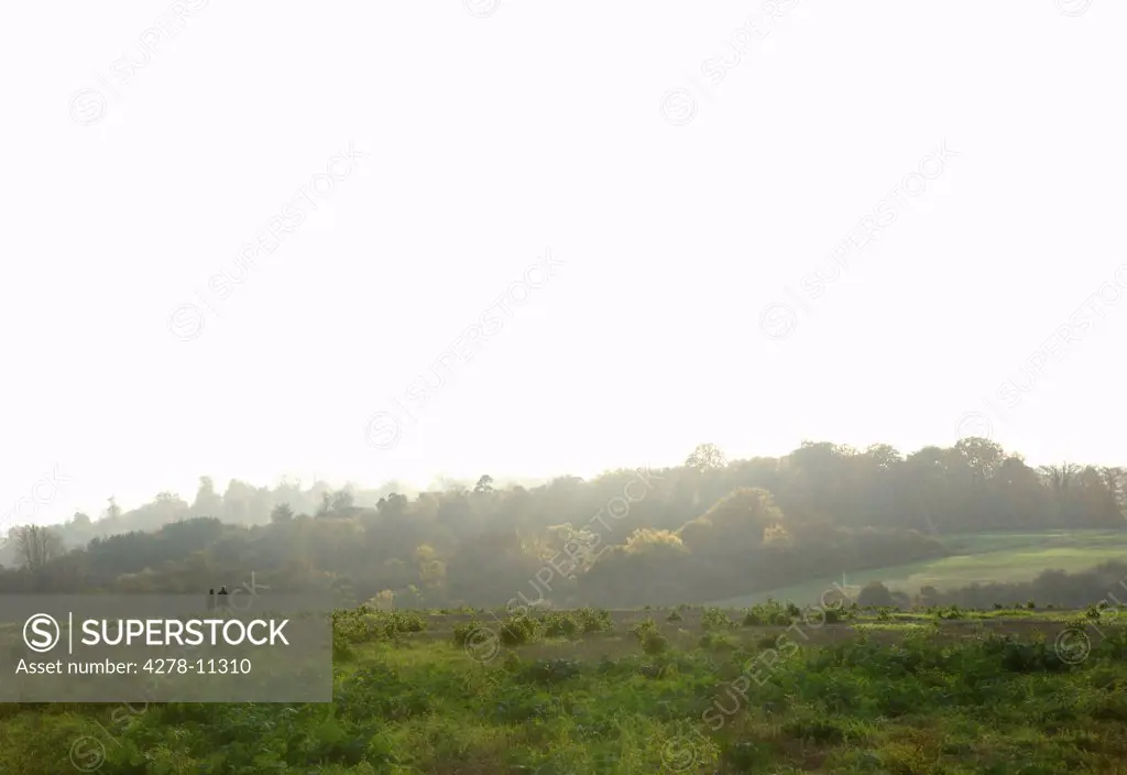 Two People Walking on Field, Darenth Valley, Kent, UK