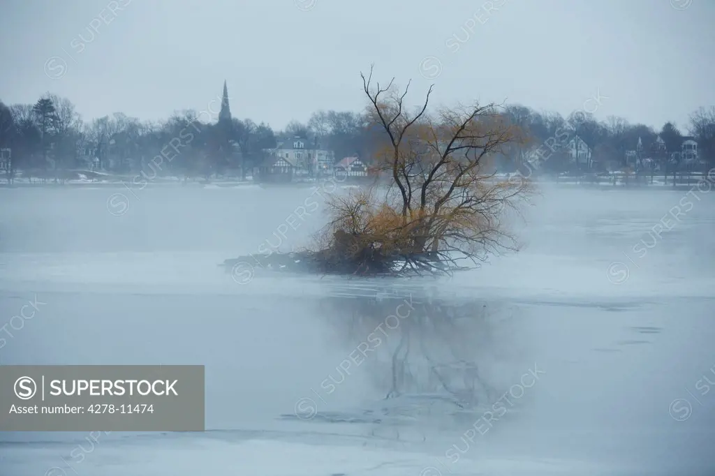 Tree In Middle Of Frozen Lake
