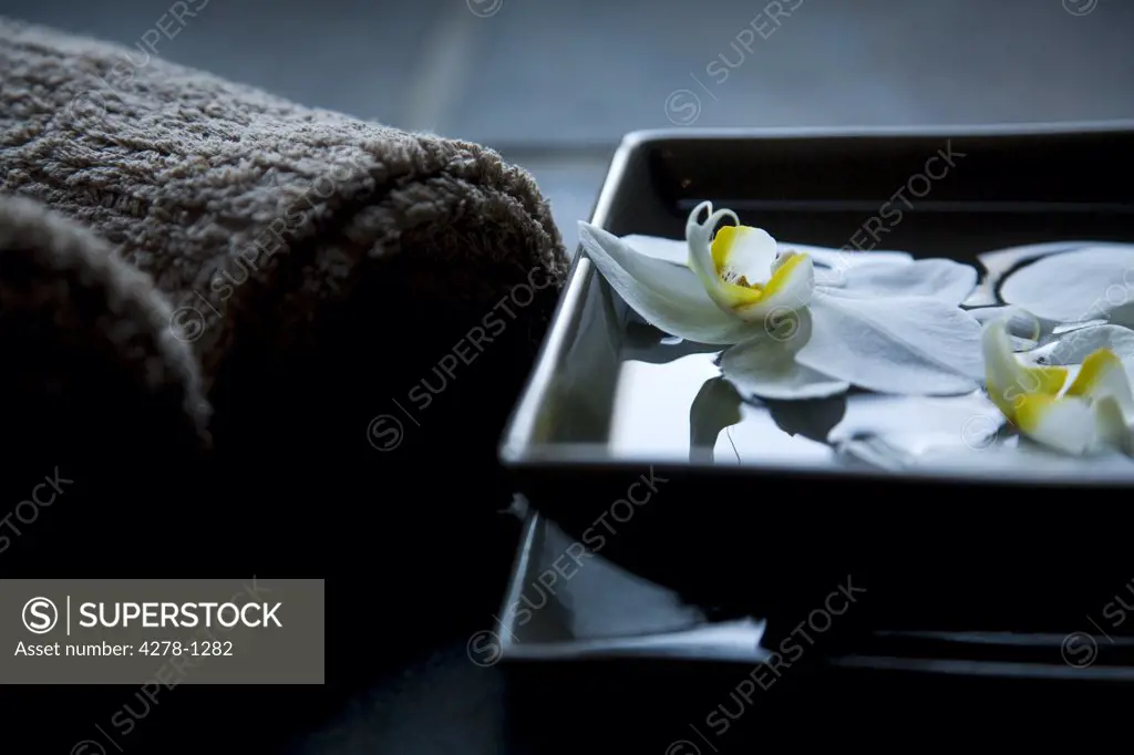 White flowers floating in square bowl with brown towels