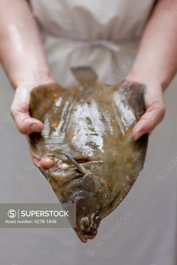 Close up of fishmonger's hands holding fish