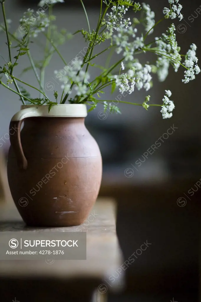 Cow parsley flowers in terracotta jug on rustic table