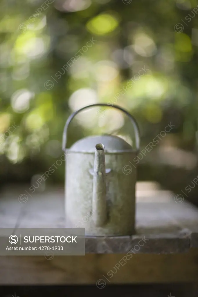 Summer garden and metal watering can