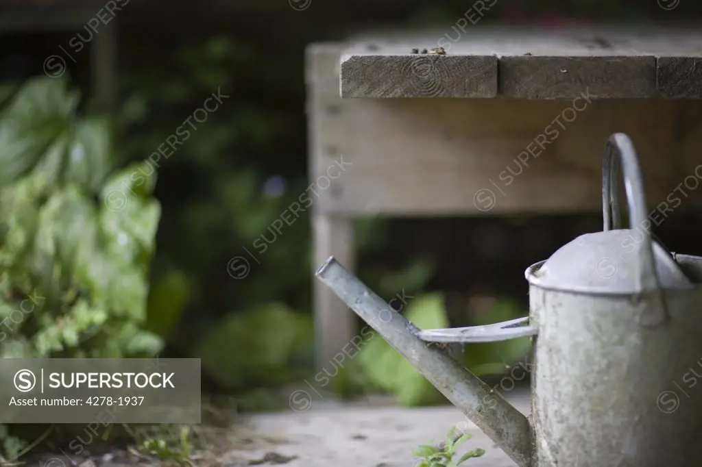 Summer garden and close up of watering can