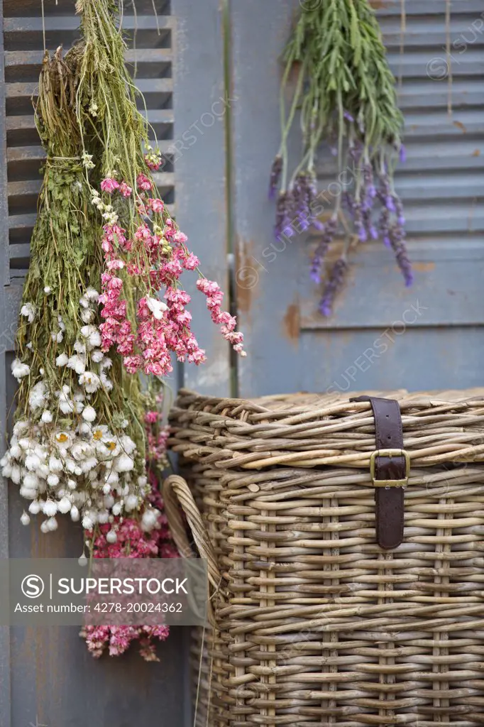 Wicker Trunk and Hanging Flowers