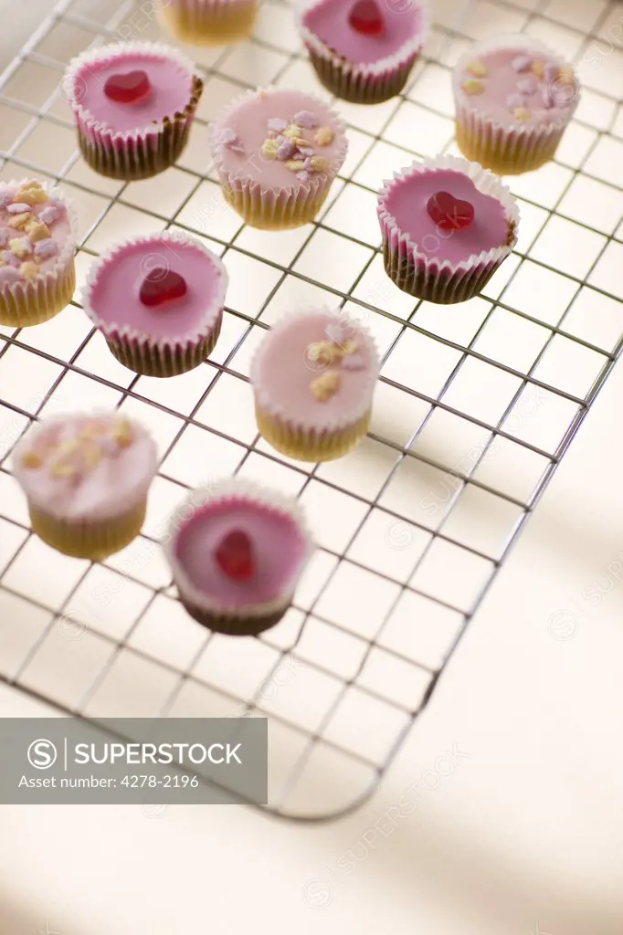 Cupcakes on airing tray