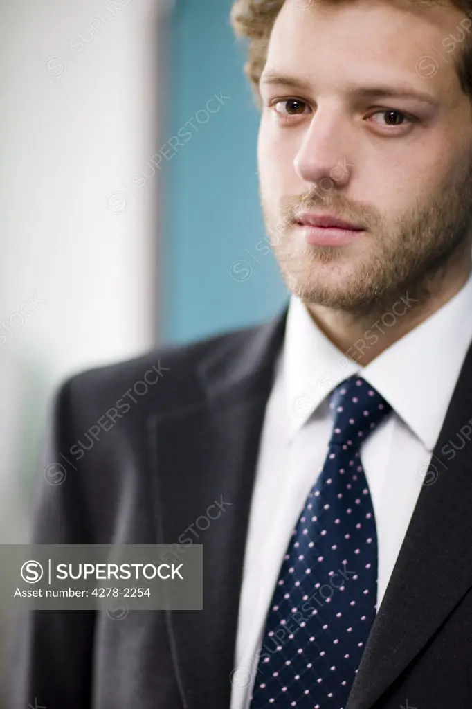 Portrait of a young businessman