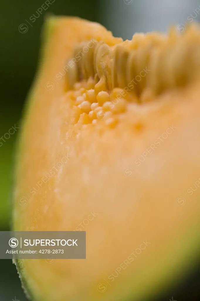 Slice of melon