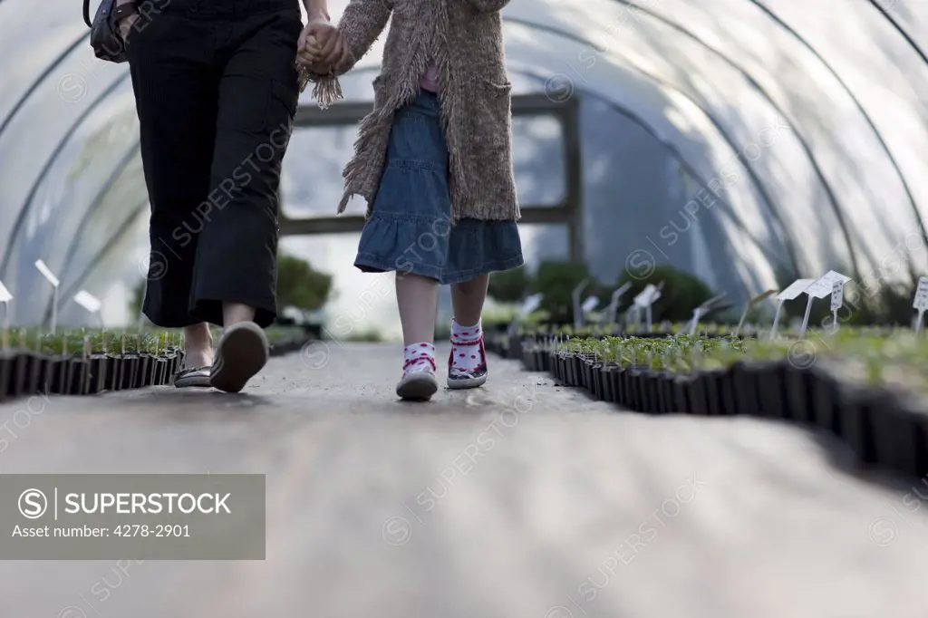 Woman and girl walking inside a greenhouse holding  hands