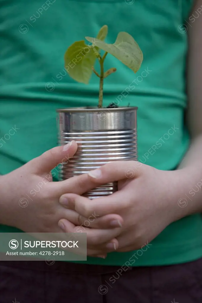 Close up of girl hands holding a plant