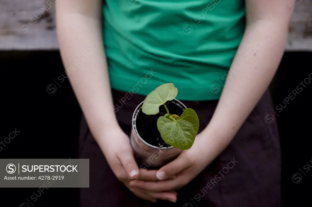 Close up of girl hands holding a plant