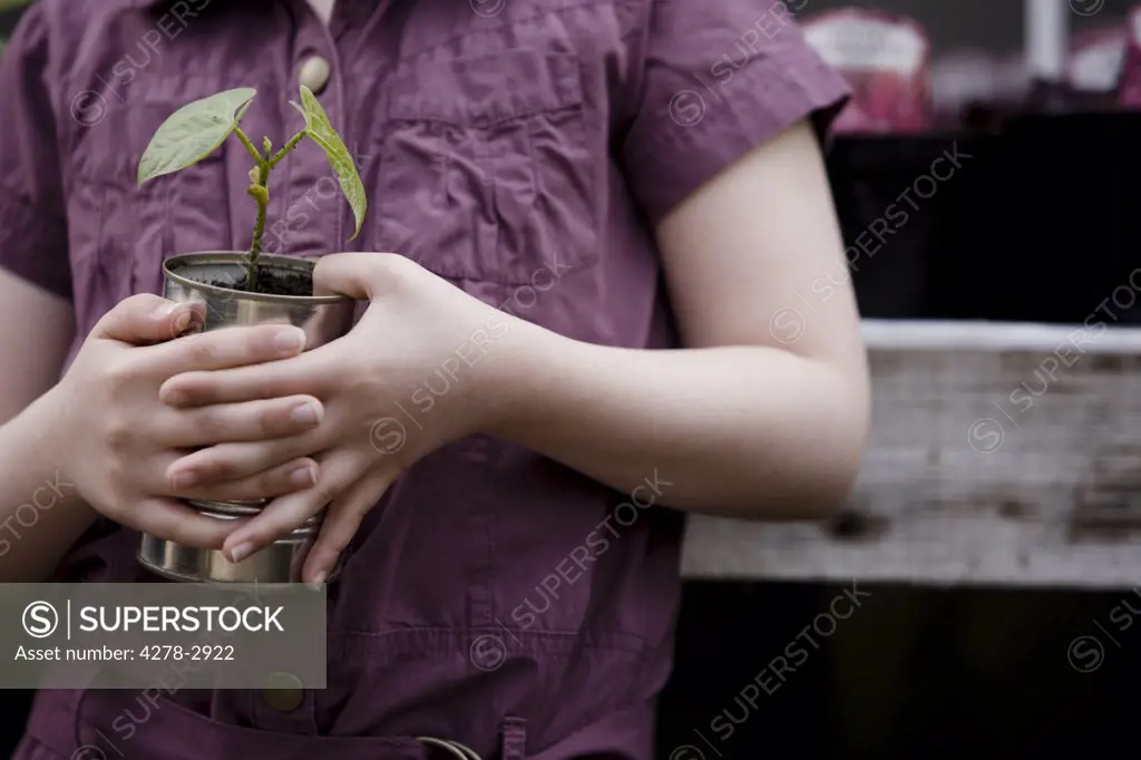 Close up of girl hands holding a plant