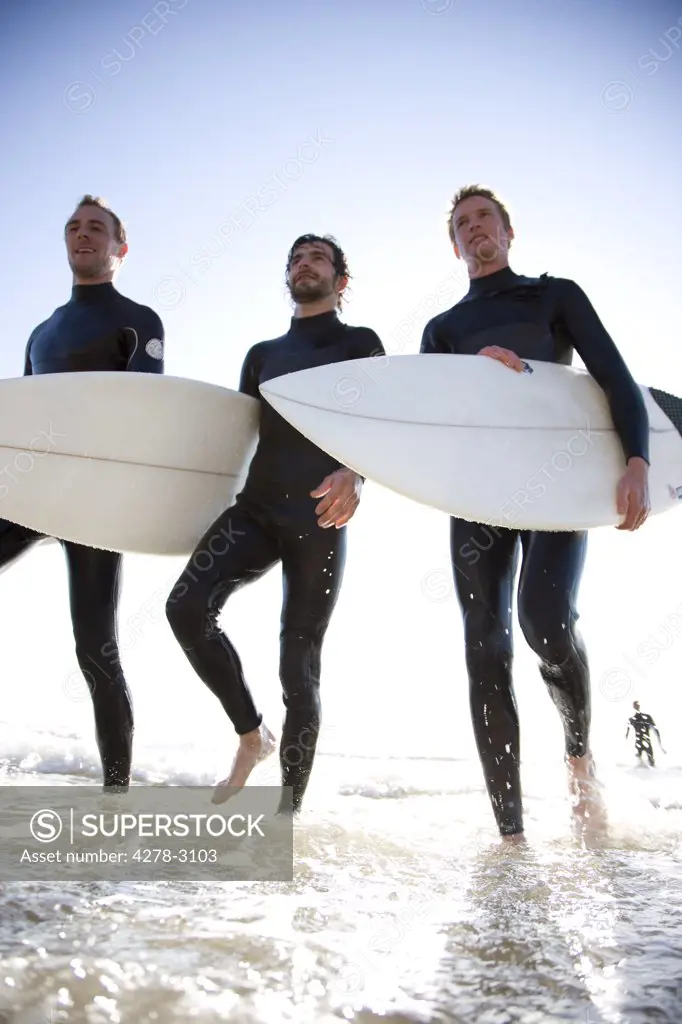 Three surfers walking out of the sea holding surfboards