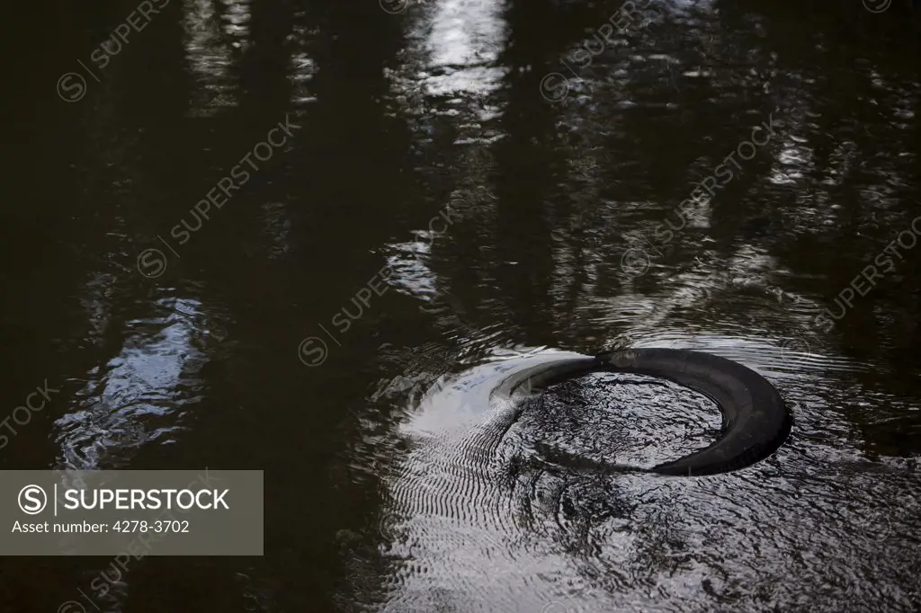 Close up of a discarded rubber tyre floating in a river