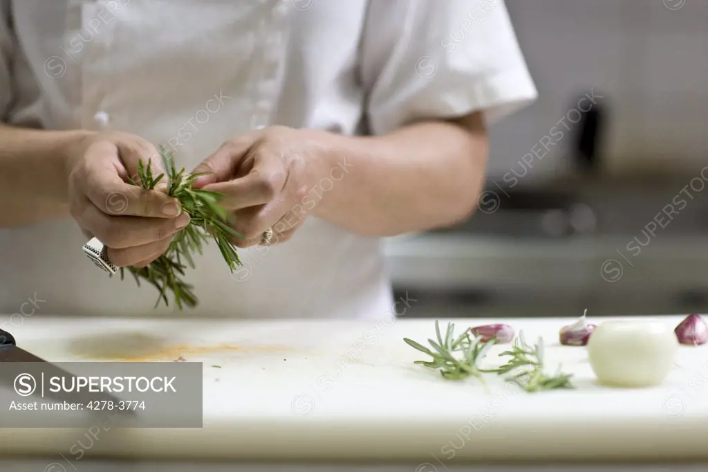 Close up of a chef hands plucking a rosemary twig