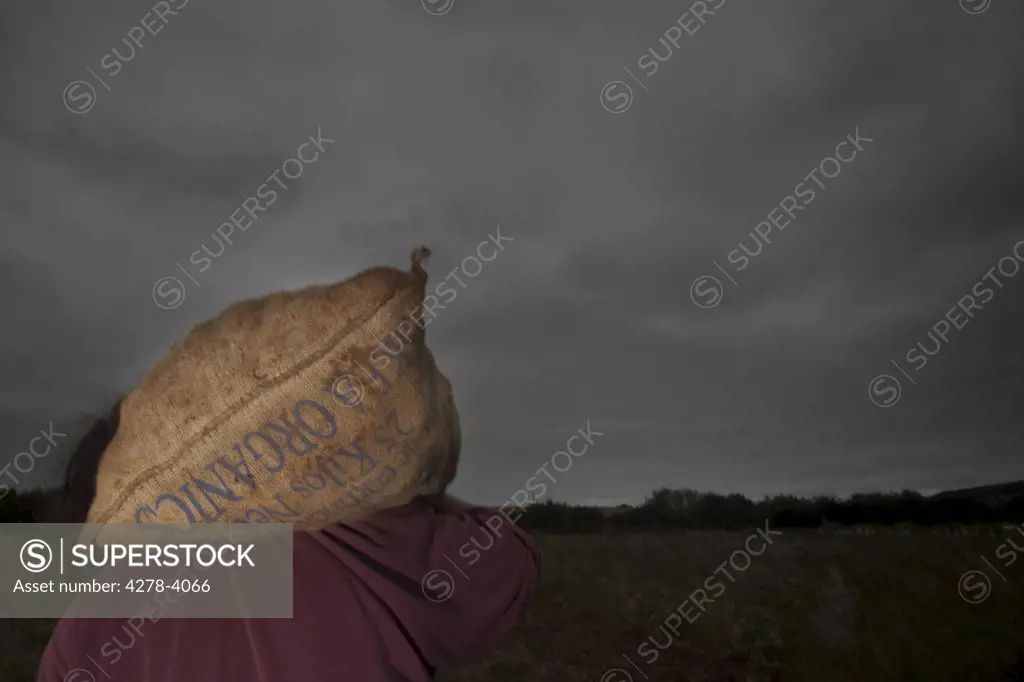 Back view of a farmer carrying a sack of potatoes on his back