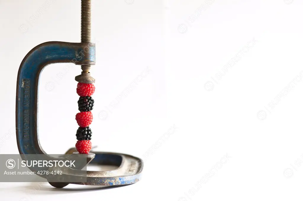Close up of a metal clamp holding together raspberries and blackberries