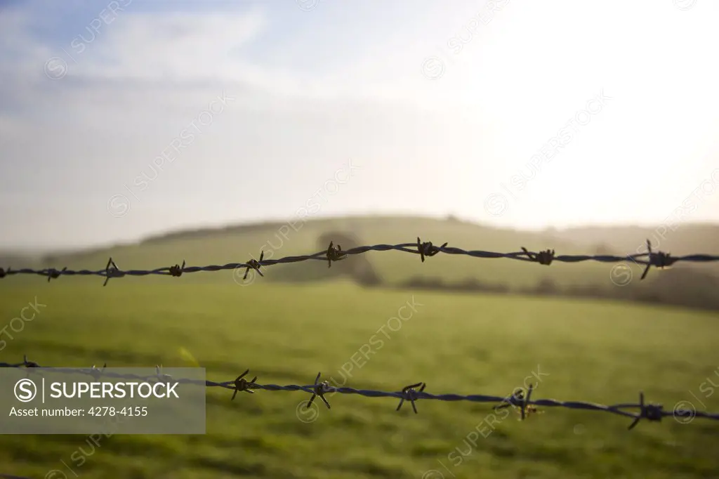 Barbed wire and agricultural land