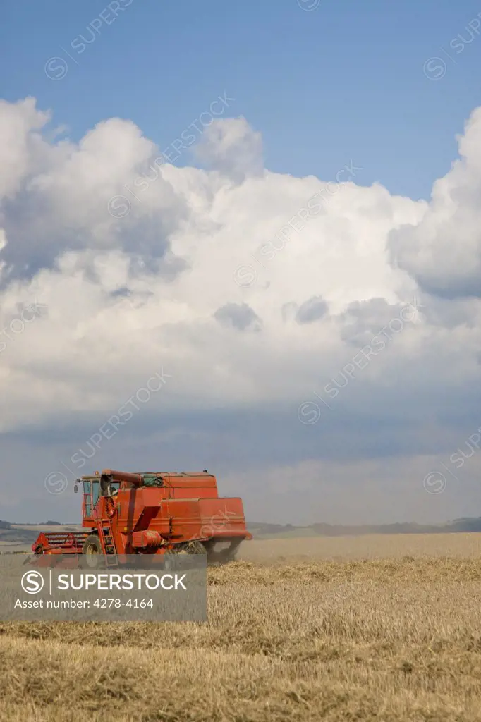Combined harvester in a wheat field