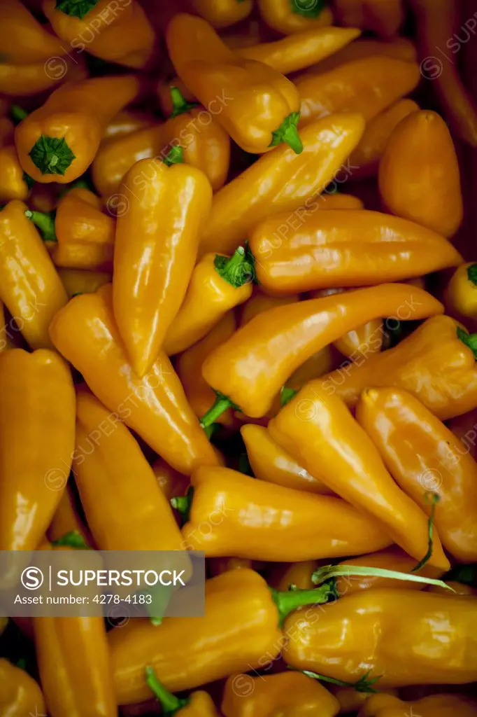 Orange pointed peppers - Capiscum