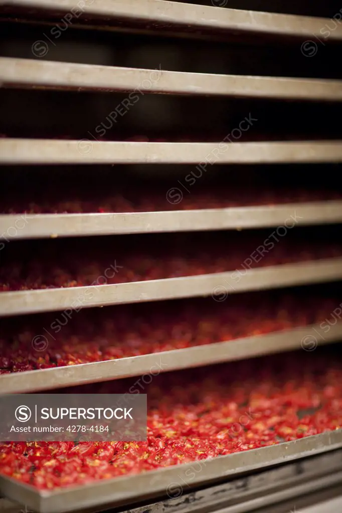 Close up of stacked drying racks filled with sun dried tomatoes