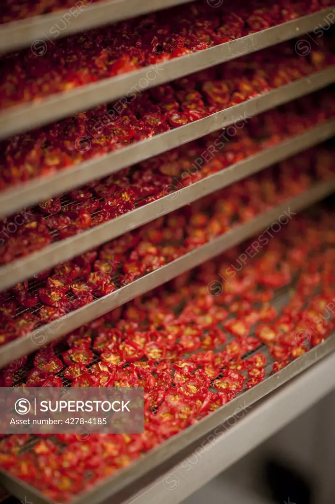 Close up of stacked drying racks filled with sun dried tomatoes