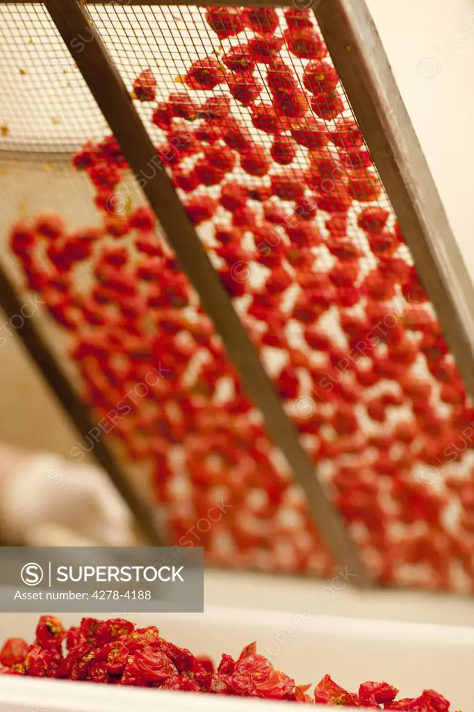 Close up of sun dried tomatoes on a drying mesh