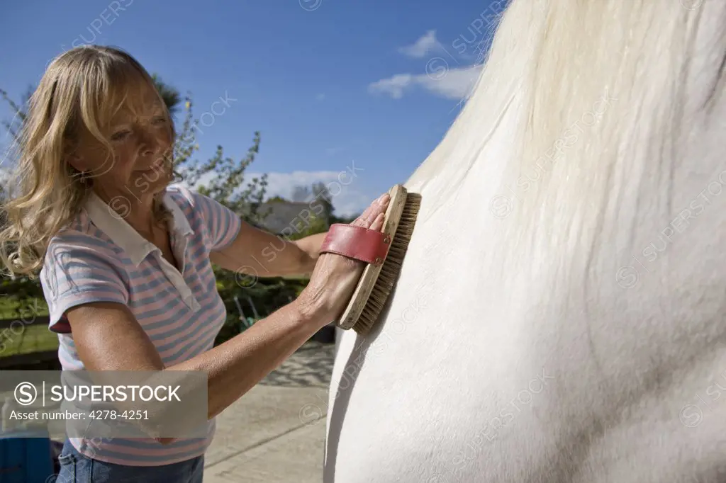 Mature woman brushing a horse