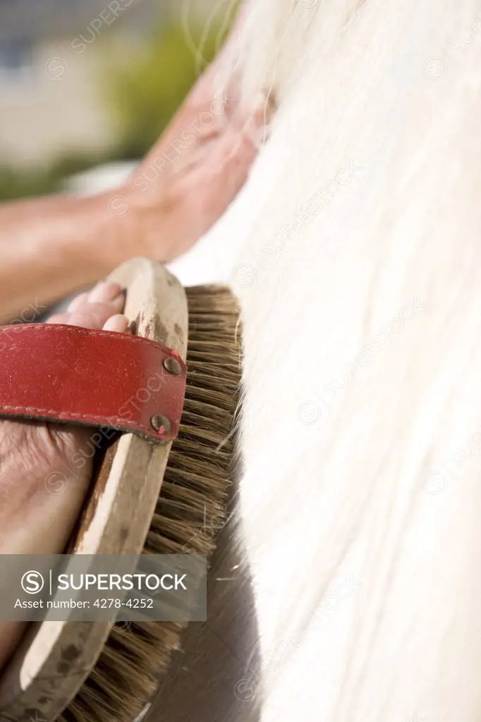Close up of a mature woman hands brushing a horse