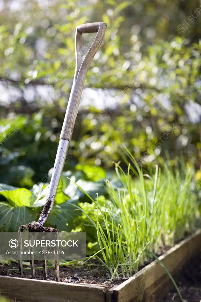 Close up of a pitchfork in a garden