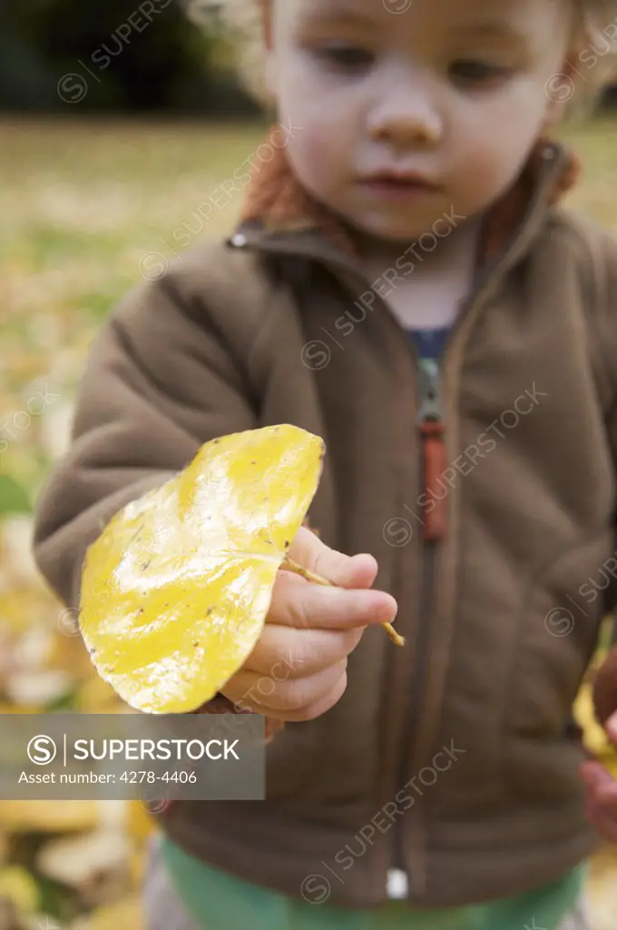 Young boy holding a leaf
