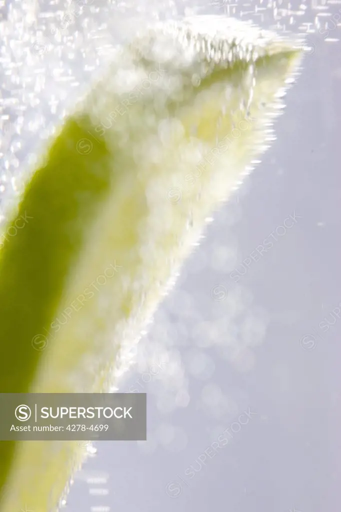 Extreme close up of a slice of lime floating in sparkling water