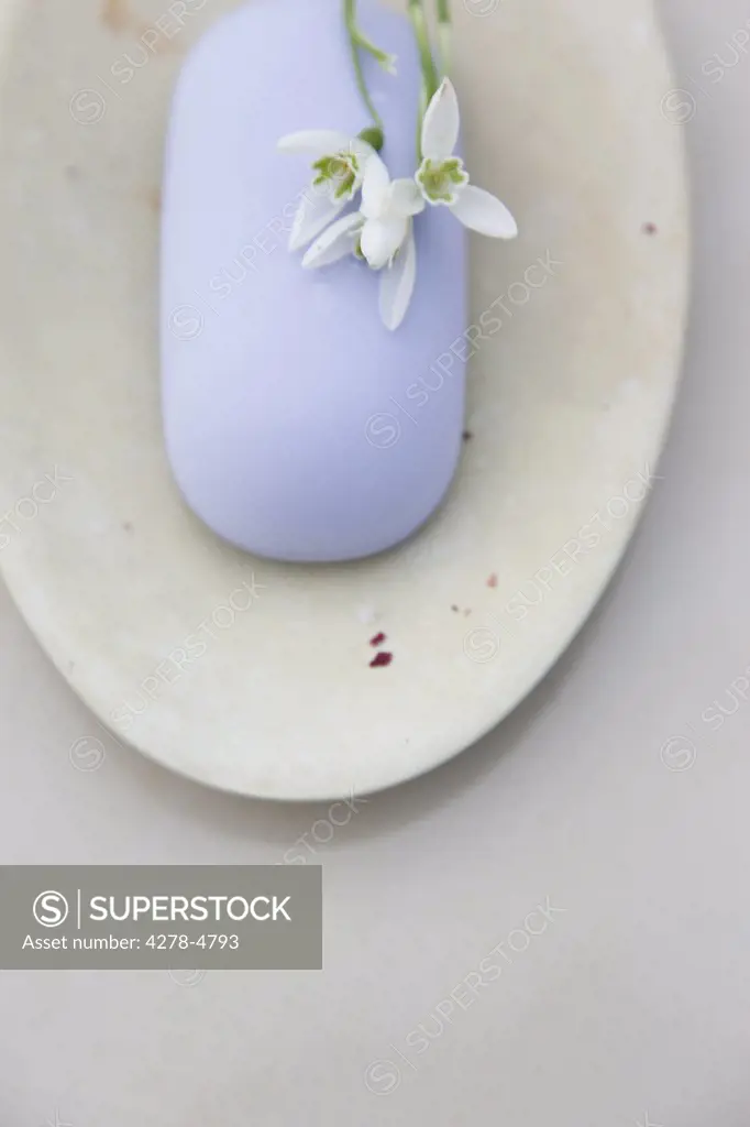 Close up of a lavender soap and white flower on a soap dish