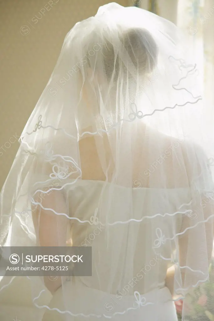Back view of a bride wearing a veil