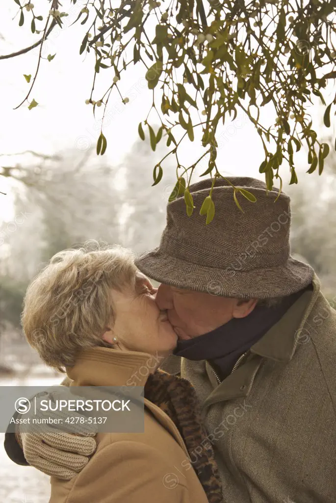 Mature couple standing under a tree kissing