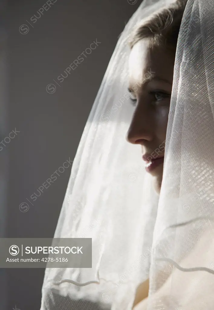 Profile of a bride wearing a veil