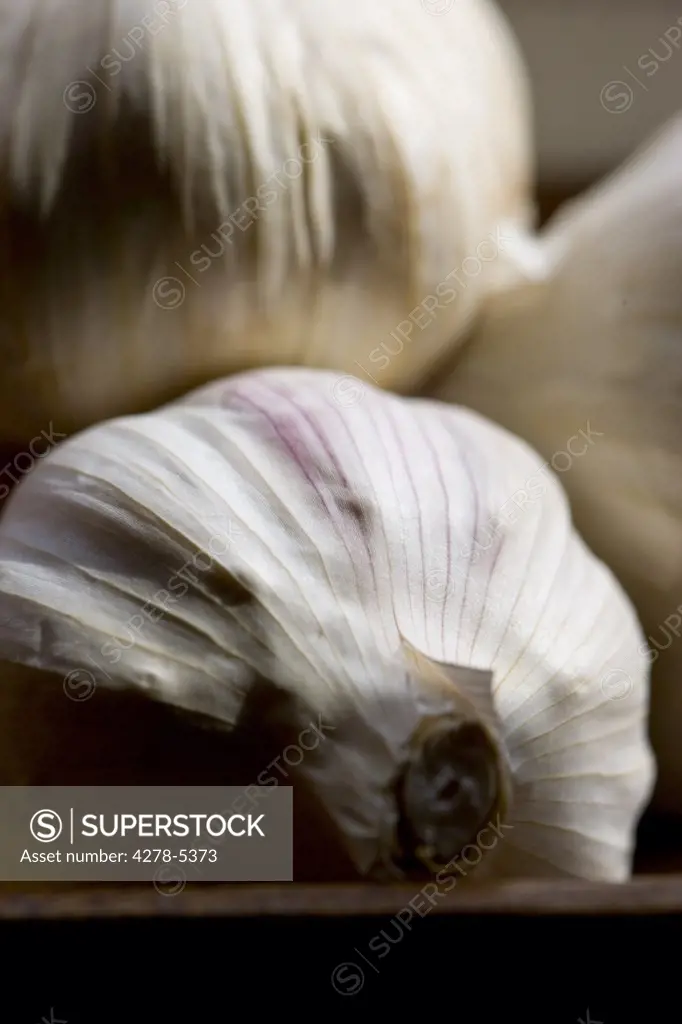 Close up of garlic bulbs