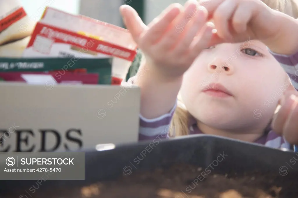 Extreme close up of a girl pouring seeds into a gardening tray