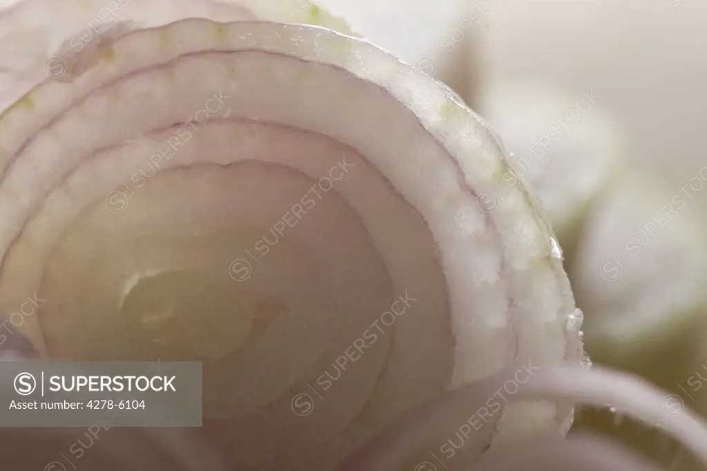 Extreme close up of onion slices