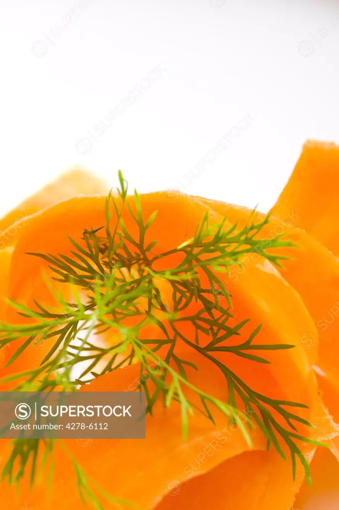 Extreme close up of carrot shavings and dill leaves