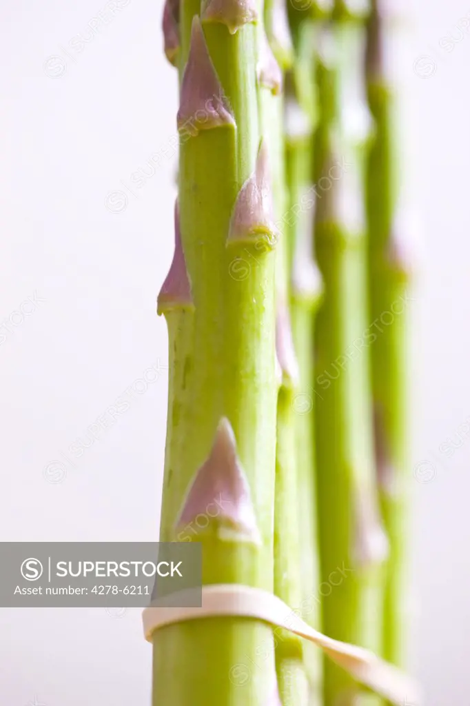 Extreme close up of asparagus stalks