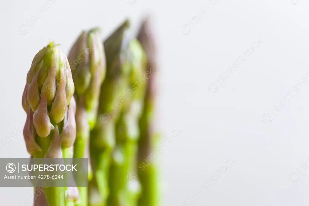 Extreme close up of asparagus tips