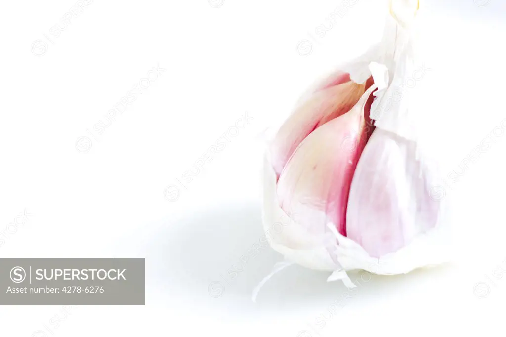 Close up of a garlic bulb