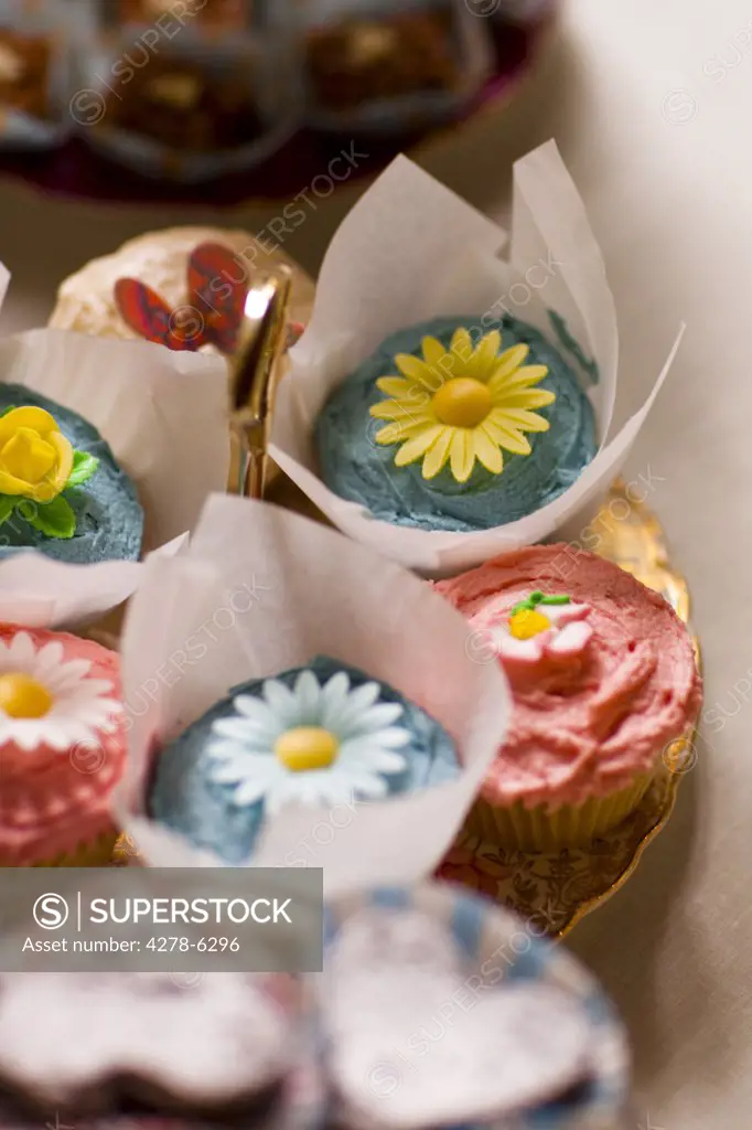 Close up of colorful cupcakes