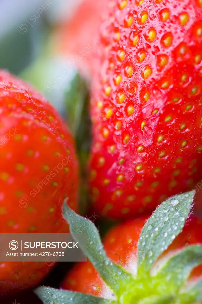 Extreme close up of strawberries