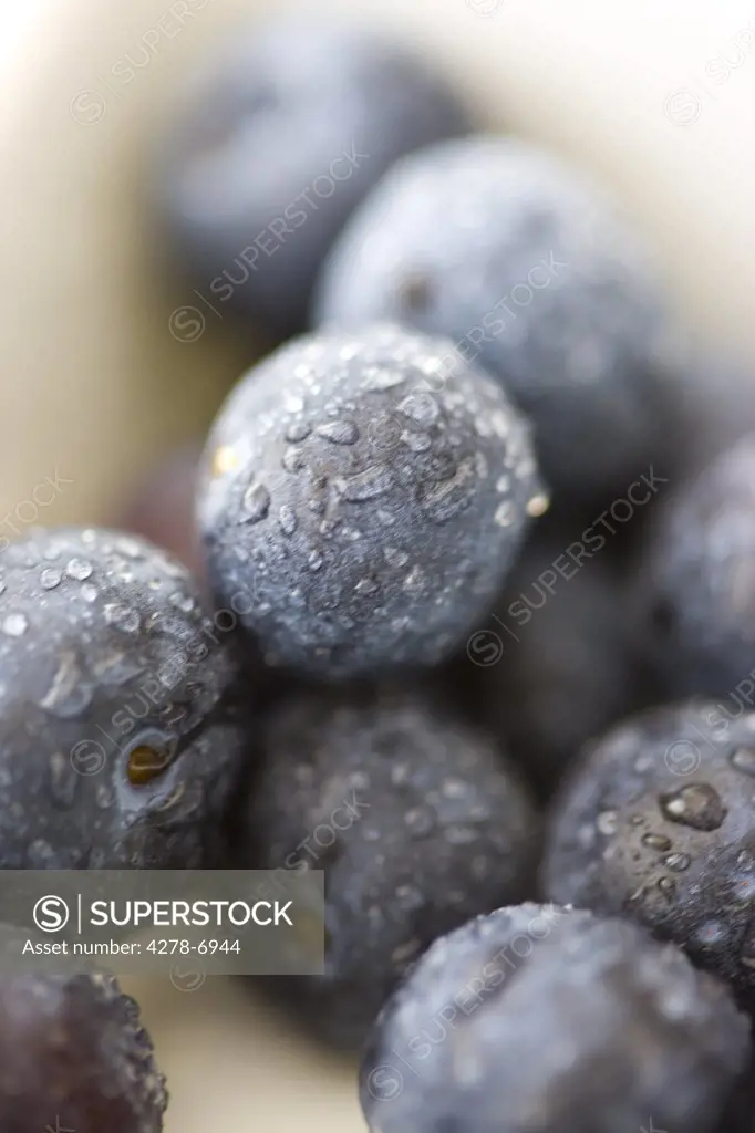 Extreme close up of blueberries