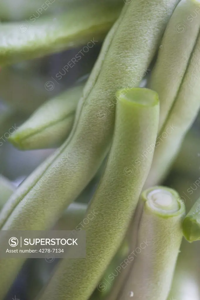 Extreme close up of Green Beans