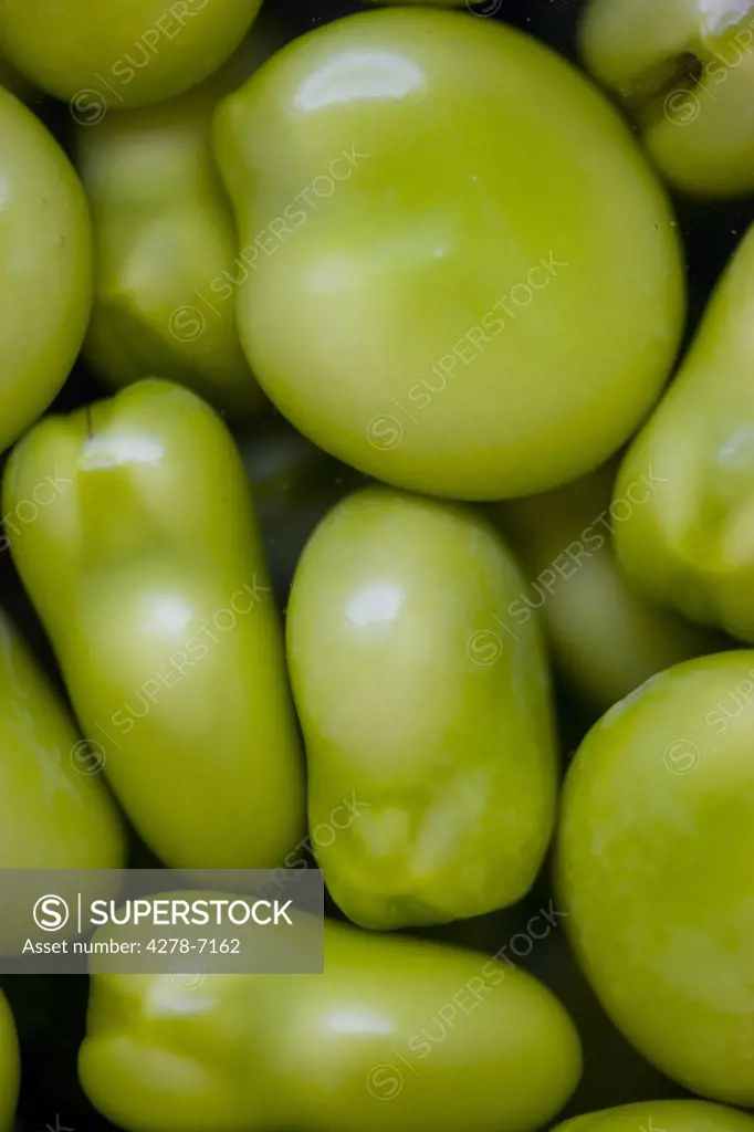 Extreme close up of Broad Beans