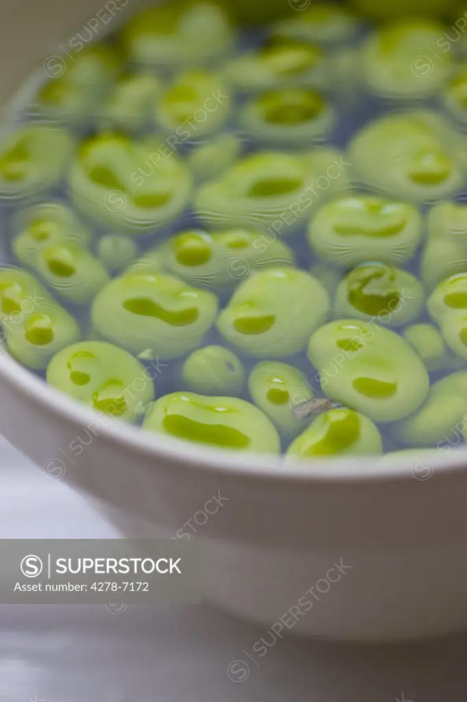 Broad Beans in Bowl Full of Water
